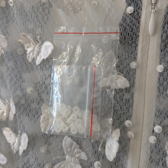 BHLDN White Sheer Butterfly Lace Bodice Wedding Dress Size 10 - Picture 11 of 12